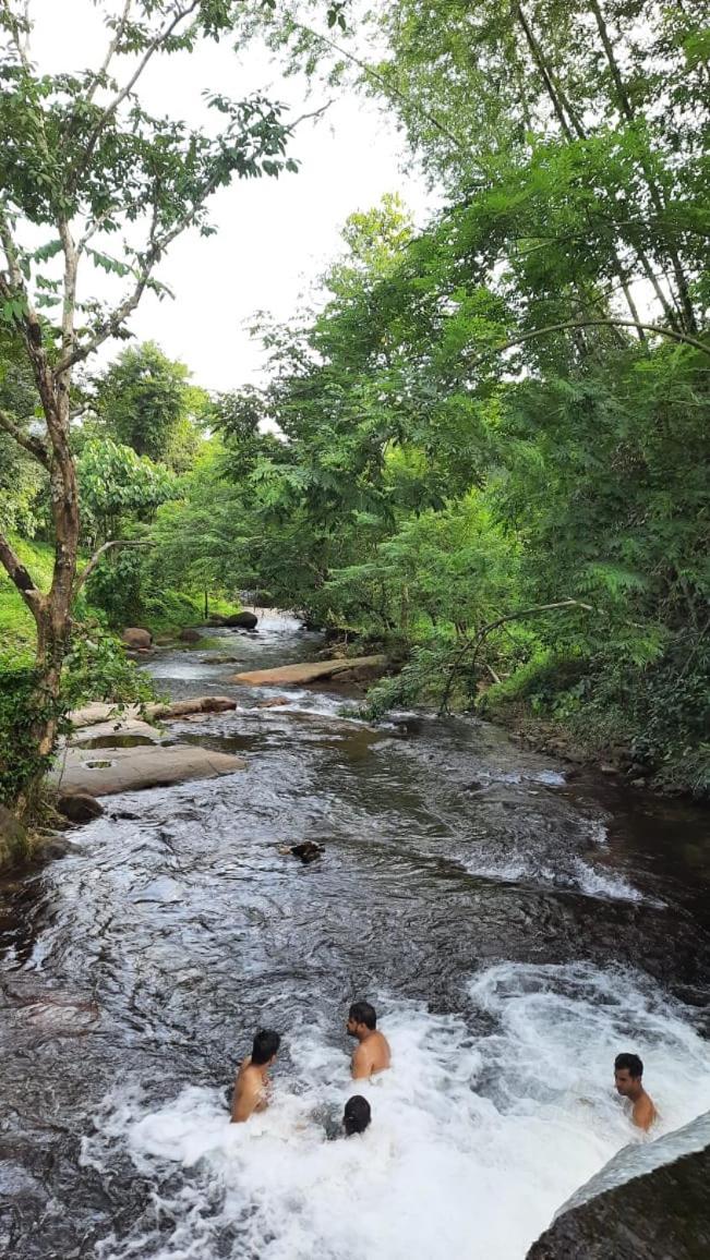 Wildglamps Athirappilly Hotel Luaran gambar
